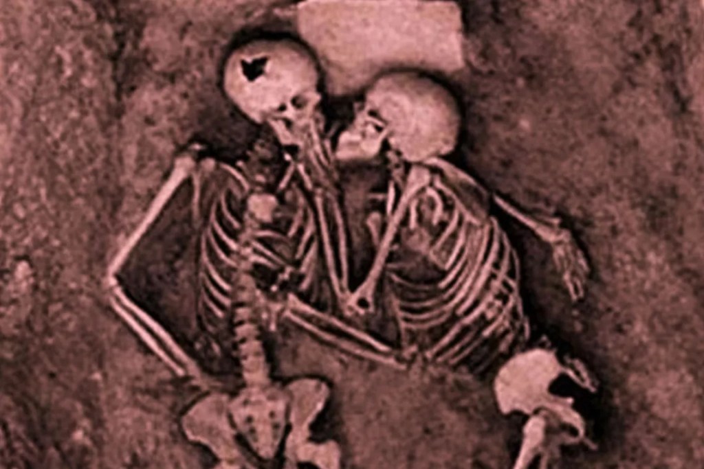 DNA & other&nbsp;Macromolecules